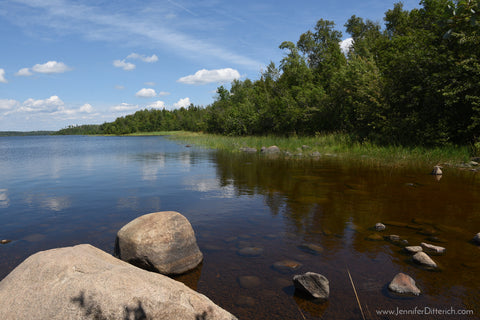 Shoreline by Ely, Minnesota by Jennifer Ditterich