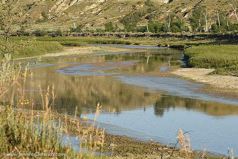 Little Missouri River in the Badlands by Jennifer Ditterich