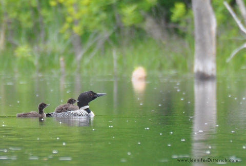 Photographing Your Lake Time by Jennifer Ditterich Designs