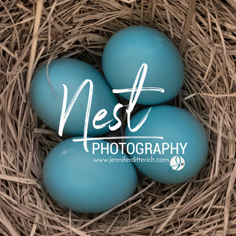 nest photography