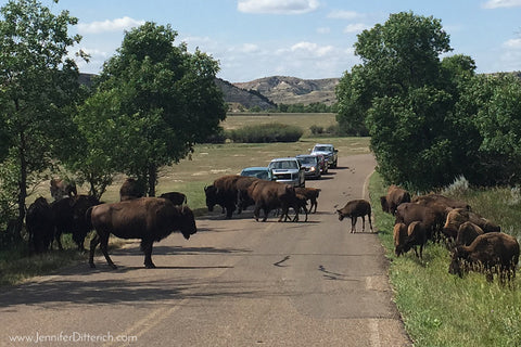 North Dakota Traffic Jam by Jennifer Ditterich