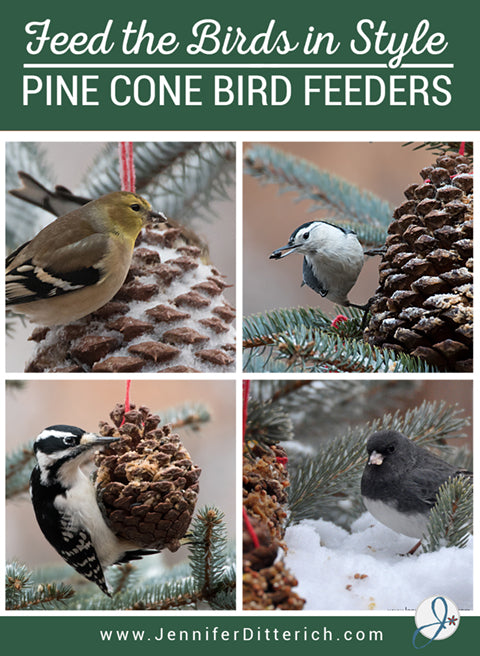 Pine Cone Bird Feeder Tutorial by Jennifer Ditterich Designs