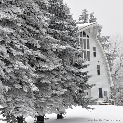 Photographing Winter on the Farm by Jennifer Ditterich Designs