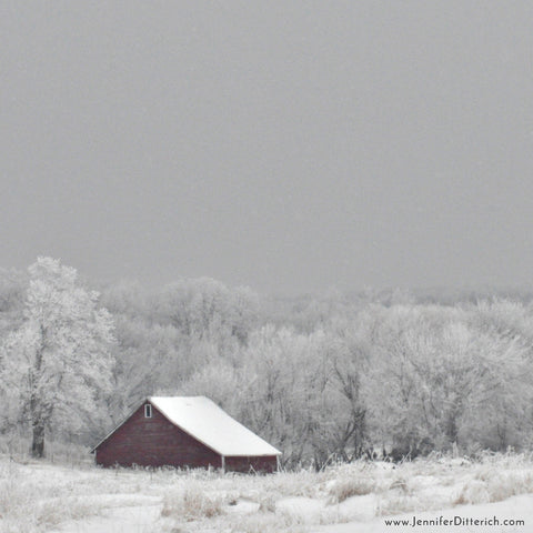 Winter Farm Building in the Frost by Jennifer Ditterich