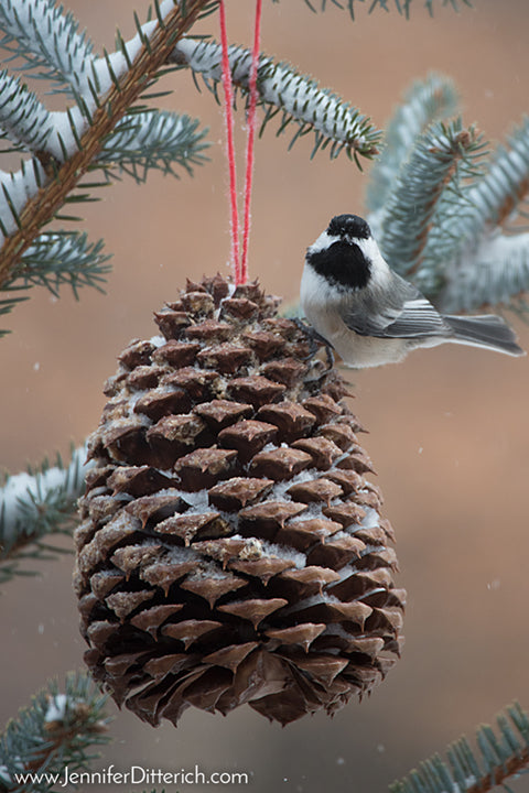 Winter Chickadee on Pinecone Ornament by Jennifer Ditterich Designs
