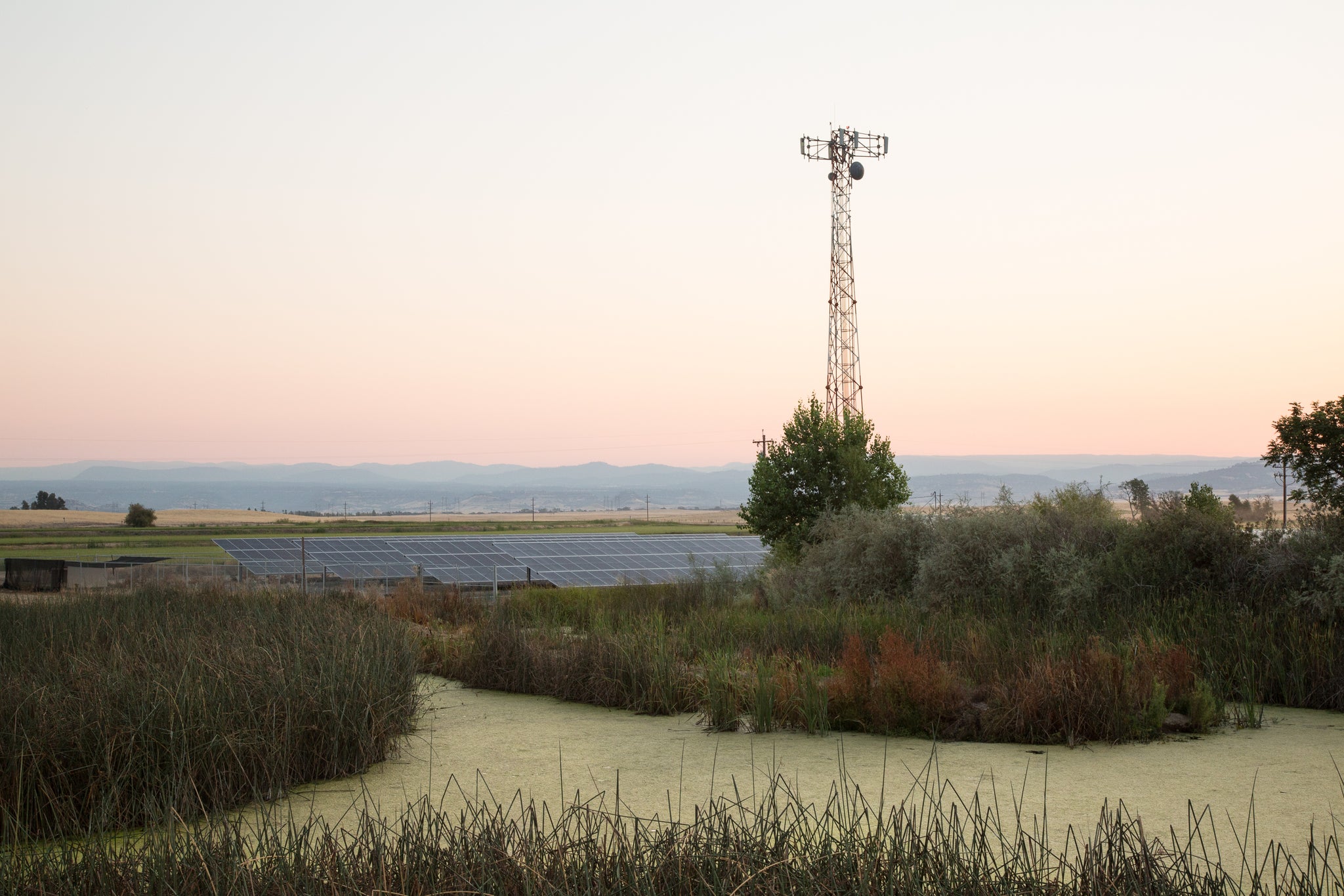 Sohnrey Family Farm and Wetland Habitat