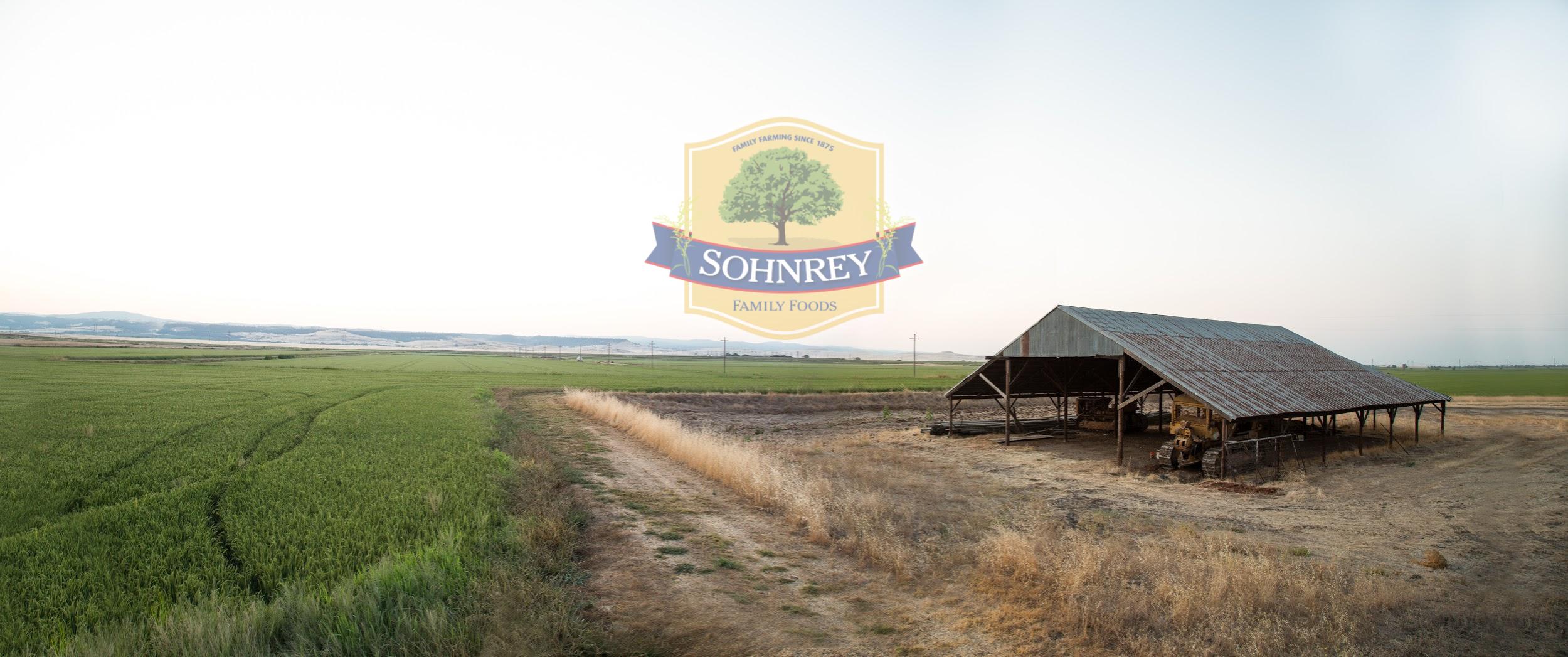 Sohnrey Family Rice Fields