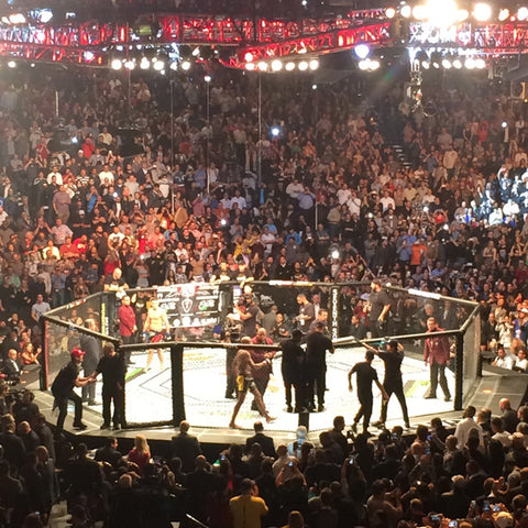 UFC 183, Silva vs Diaz, NJN, No Judges Needed
