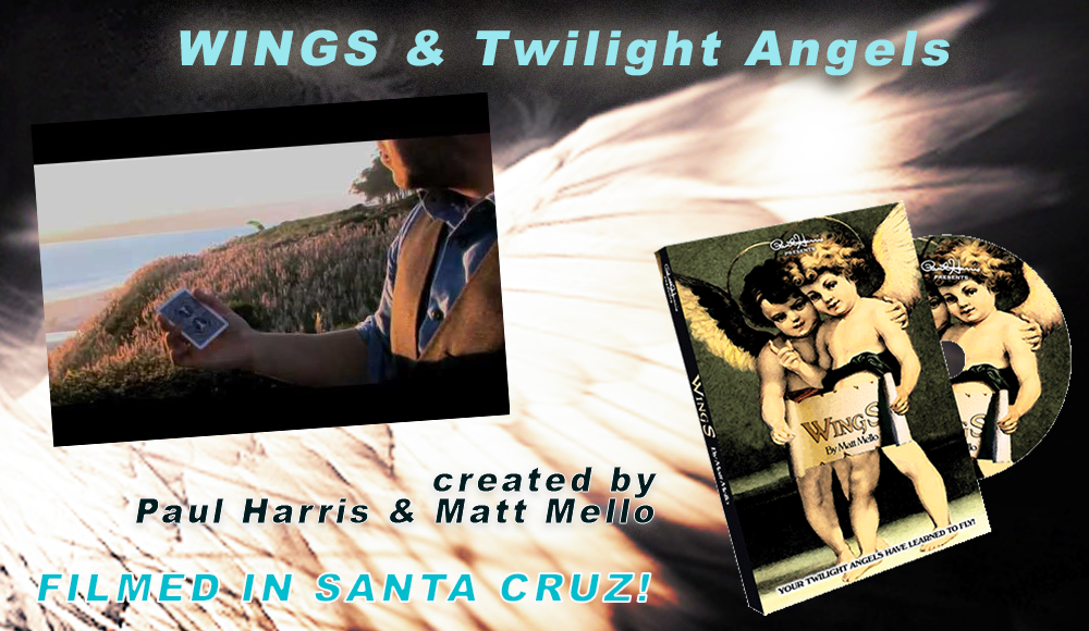 WINGS and Twilight Angels by Matt Mello and Paul Harris
