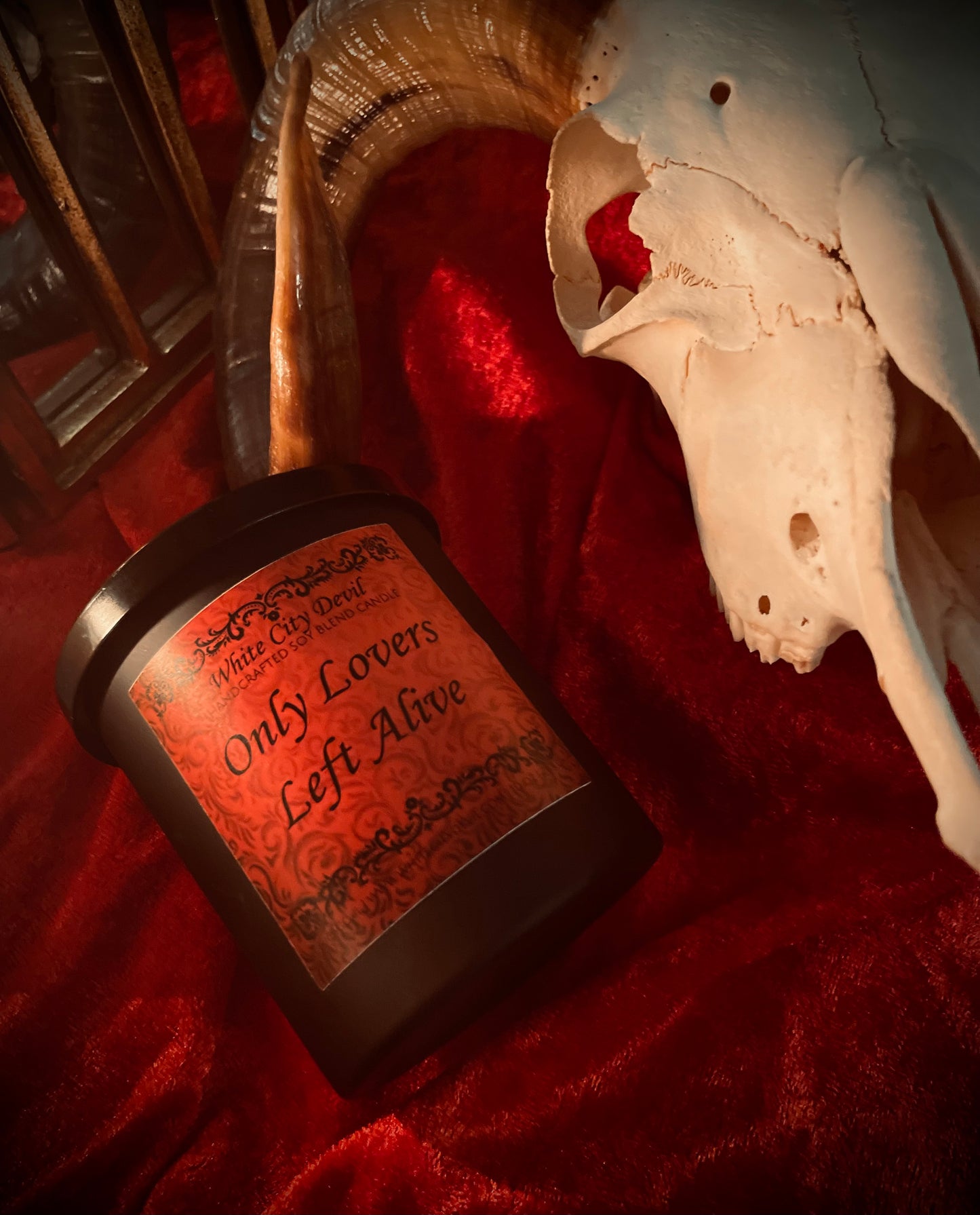 Only Lovers Left Alive Box Set