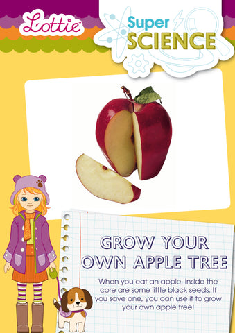 Grow your own apple tree activity for kids