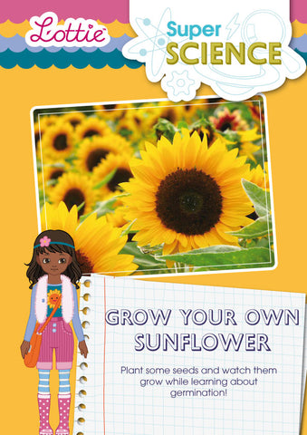 Grow your own sunflower activity for kids