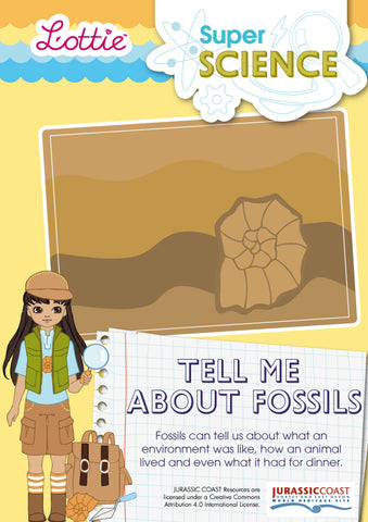 Tell me about fossils factsheet for kids
