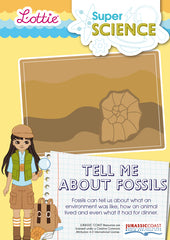 Tell me about fossils factsheet for kids