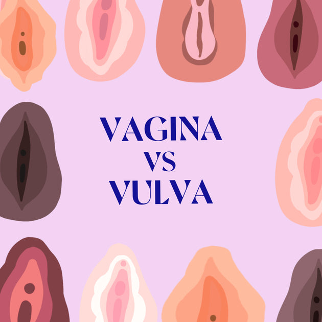 Vagina V