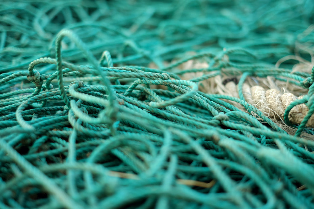 fishing net