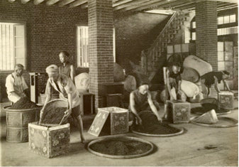 Taiwan oolong: Men pack tea into crates for overseas shipping