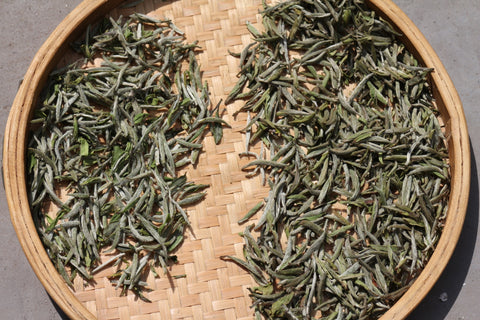 Fuding Bai Cha - tè bianco di soli germogli