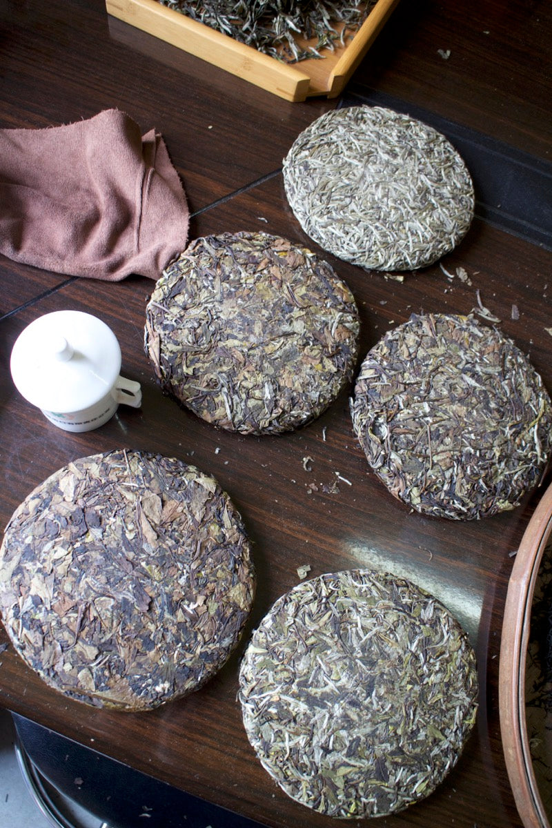 White tea cake from Fuding