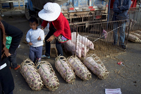 Schweine auf einem Markt in Yunnan