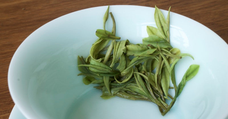 Anji Bai Cha - green tea tasting