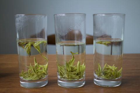 Anji Bai Cha - green tea tasting