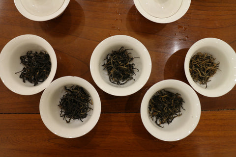 Black tea in gaiwan