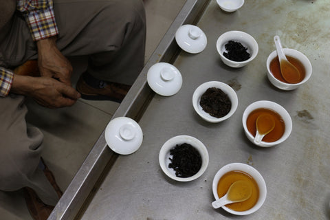 Infusions of different Tieguanyins
