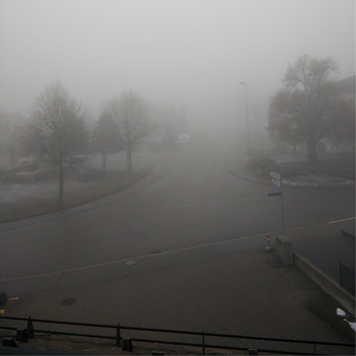 foggy winter
