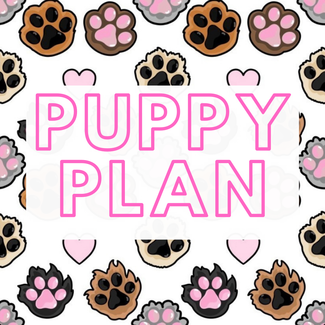 what is a puppy plan