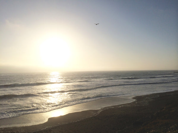 Moonstone Beach, CA. Photo by: Misa Hamamoto