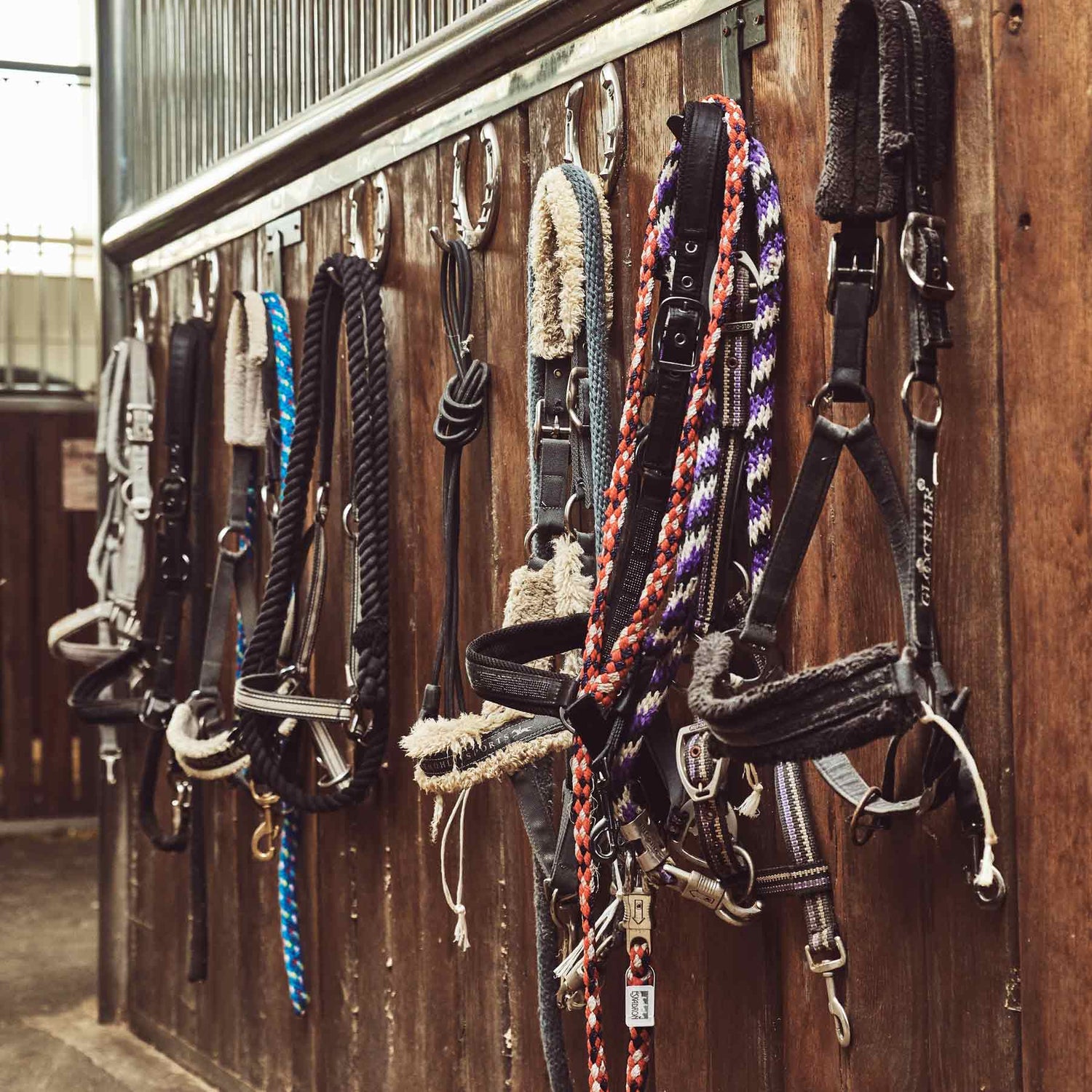 Horse Gear