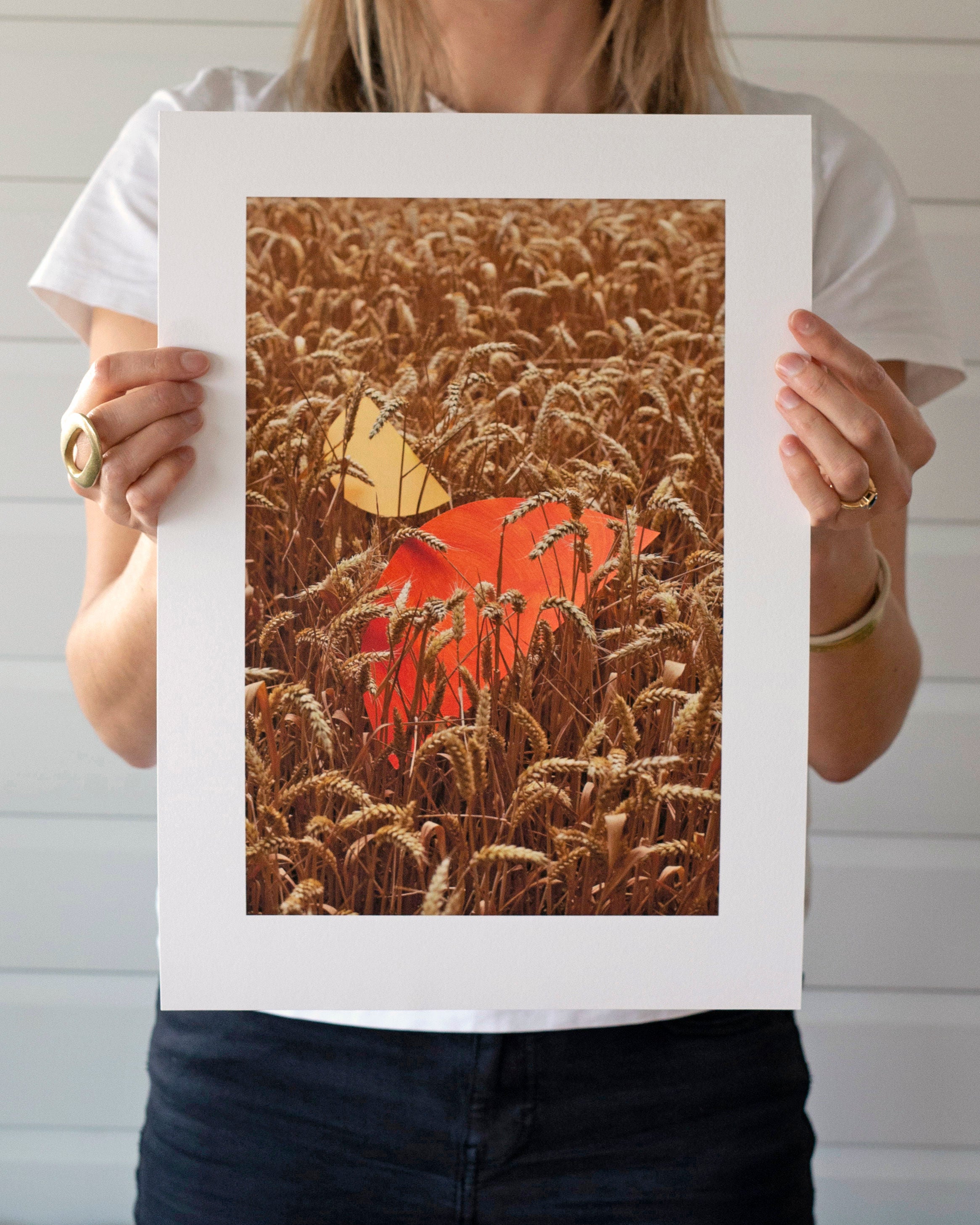 Chasing Harvest 1