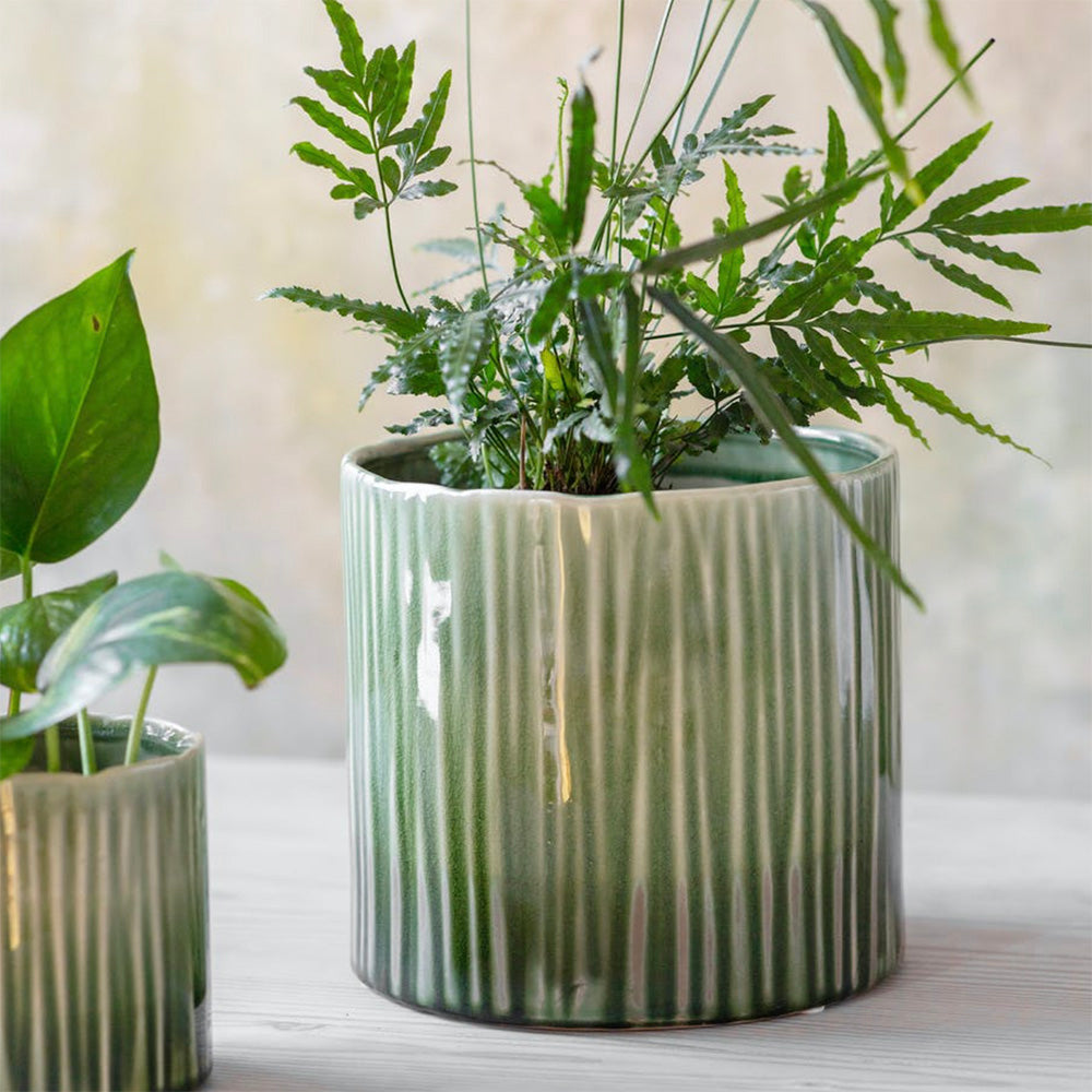 ceramic plant bowl