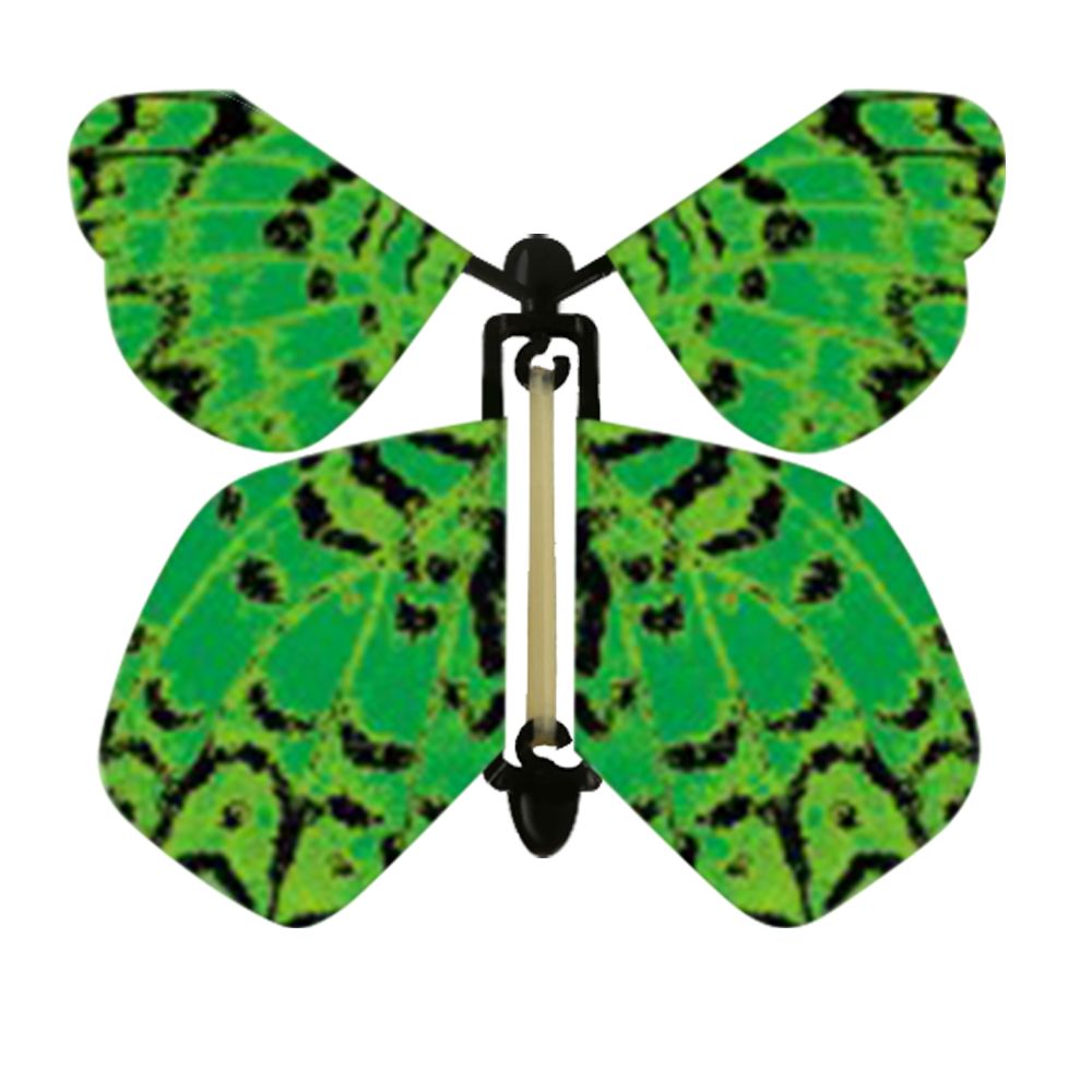 green-butterfly-boomf