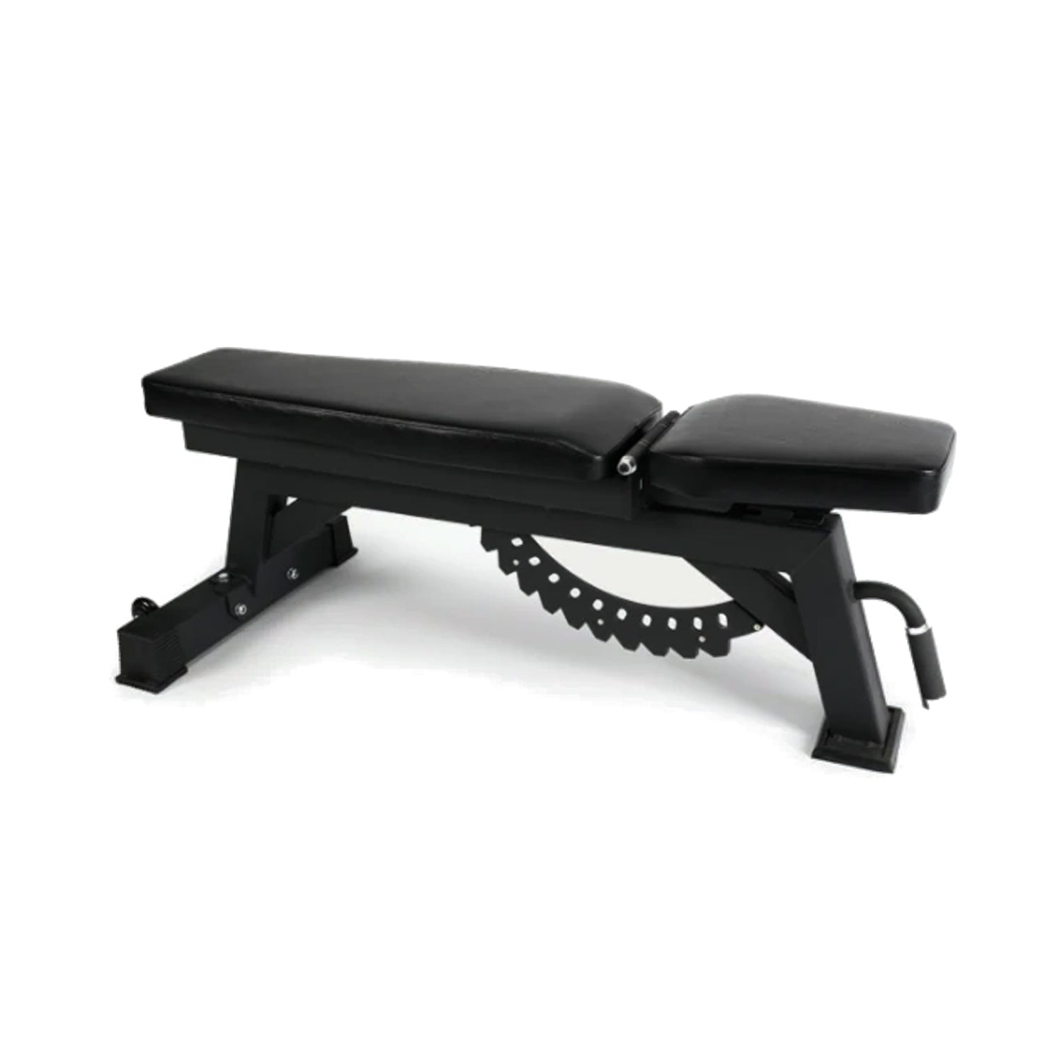 Elite Adjustable Bench - PRE ORDER JUNE
