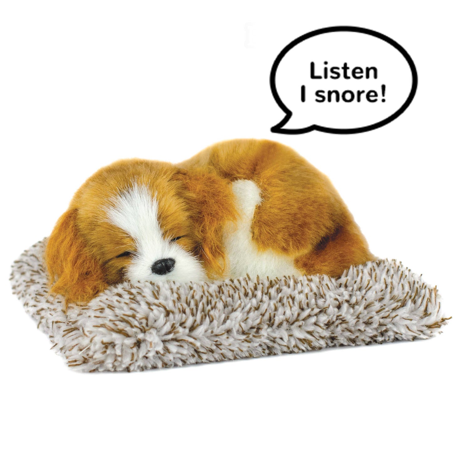 Mini 6 - Cavalier King Charles