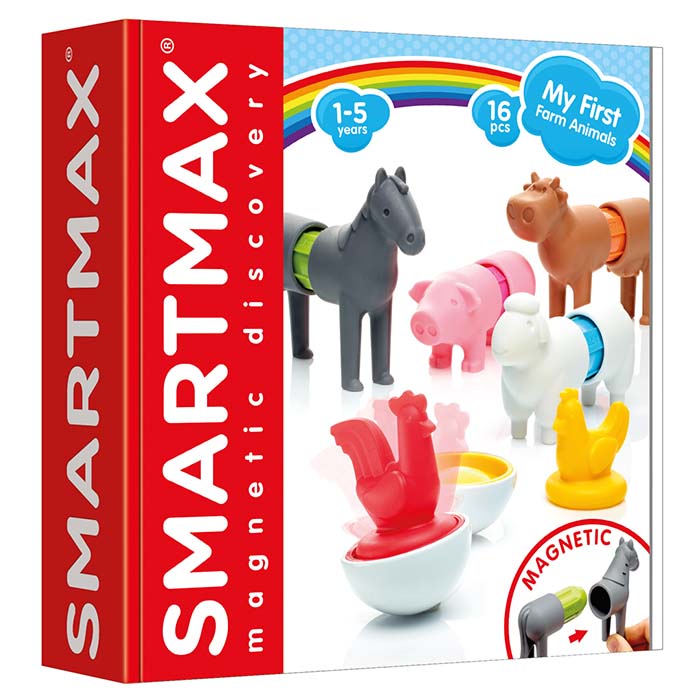 28 pack sensory toys set