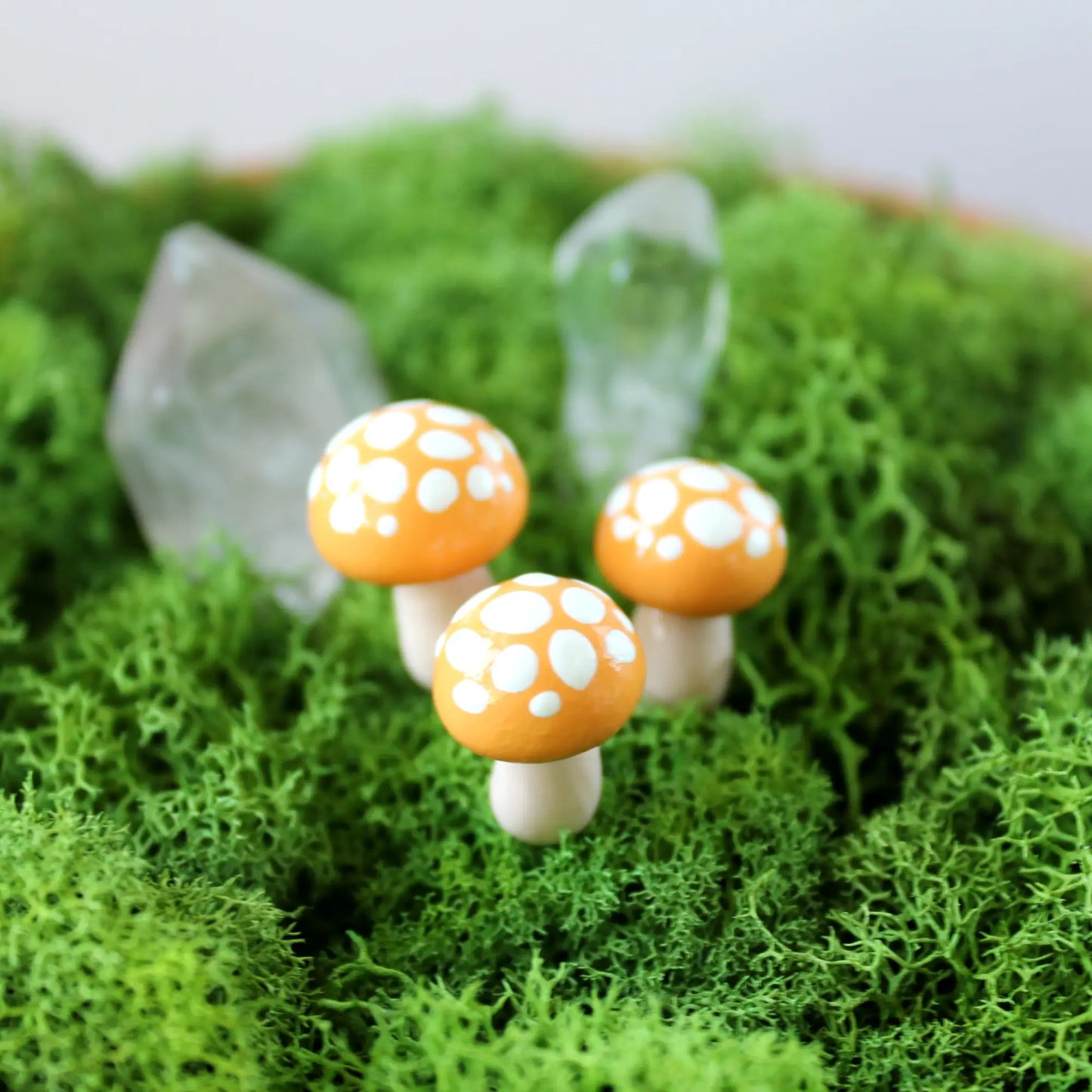 Mini Fairy Garden Mushroom Decor mini-fairy-garden-mushroom decor, MUSHROOM, mushrooms - Bunk Ass Plants