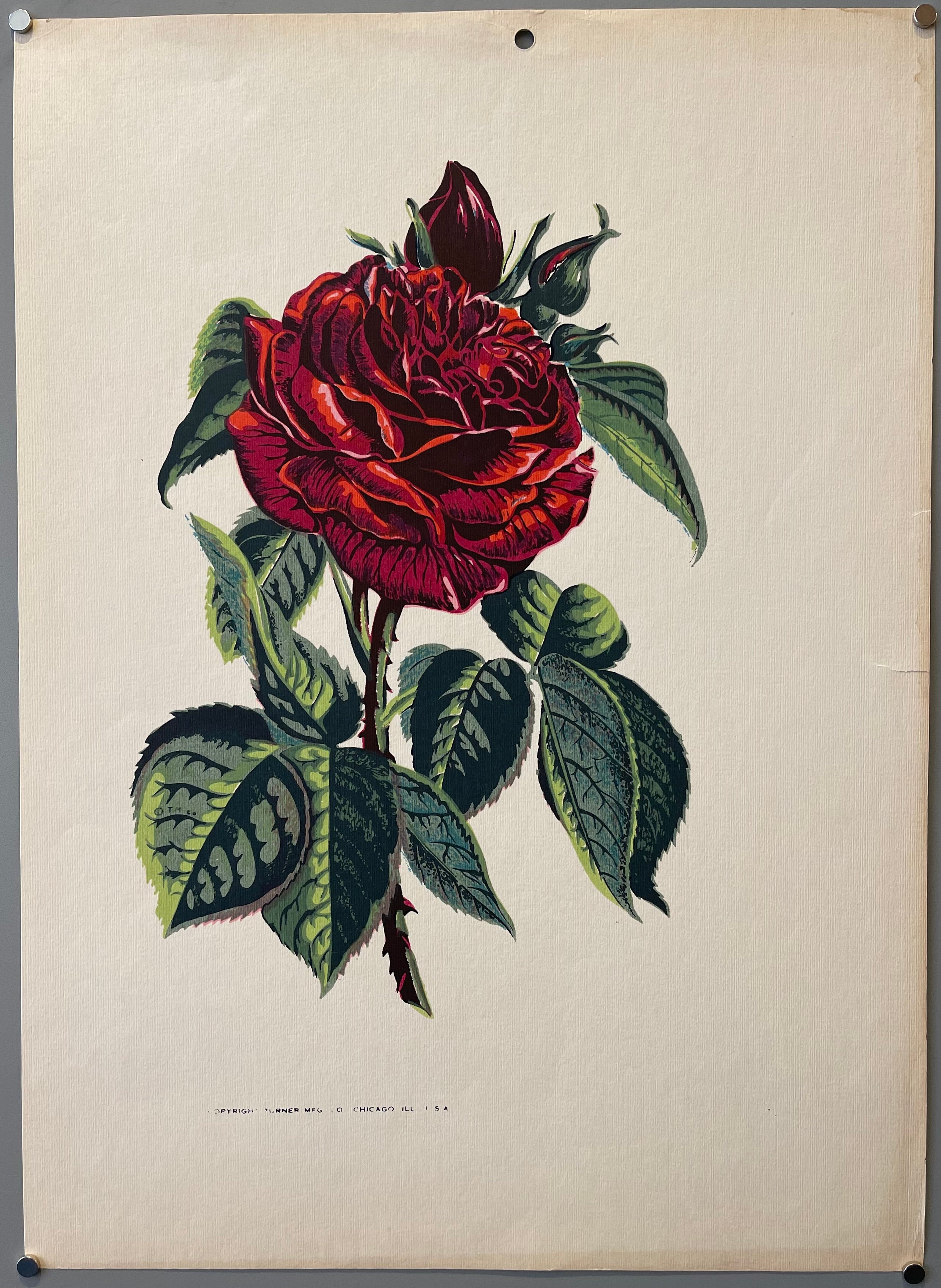 Rose Print – Poster