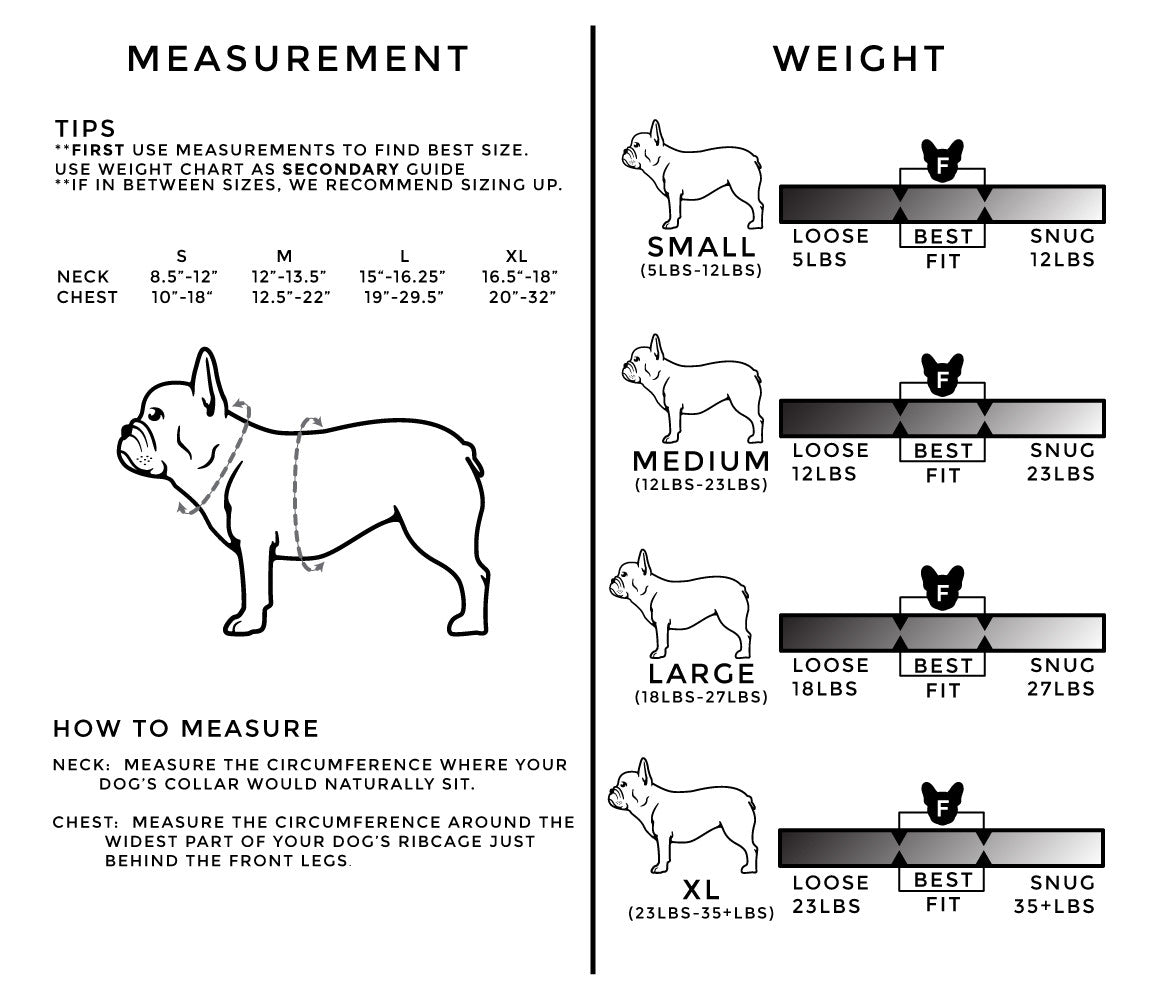 French Bulldog Height Chart