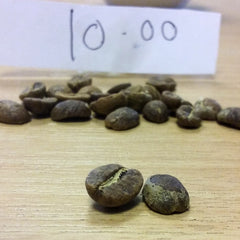 Beans roasted at 10 minutes | Hand Roasted Coffee | Two Spots Coffee