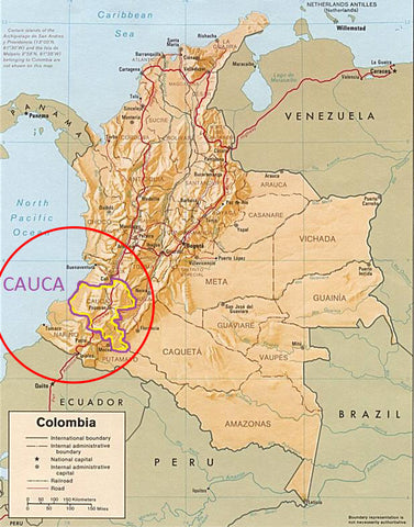 Cauca - Colombia | Two Spots Coffee | Buy Single Origin Coffee