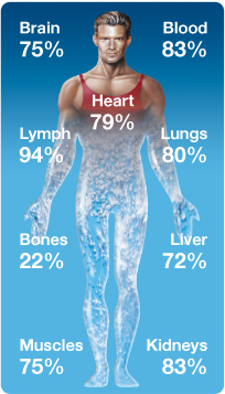 water content in your body