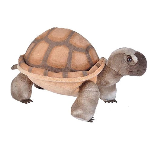 Desert Tortioise Stuffed Animal