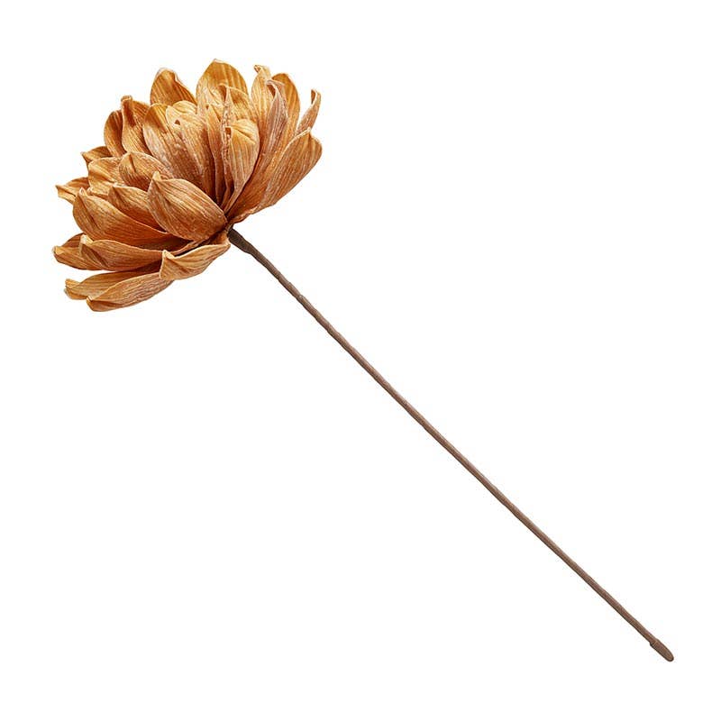 Flower Stem