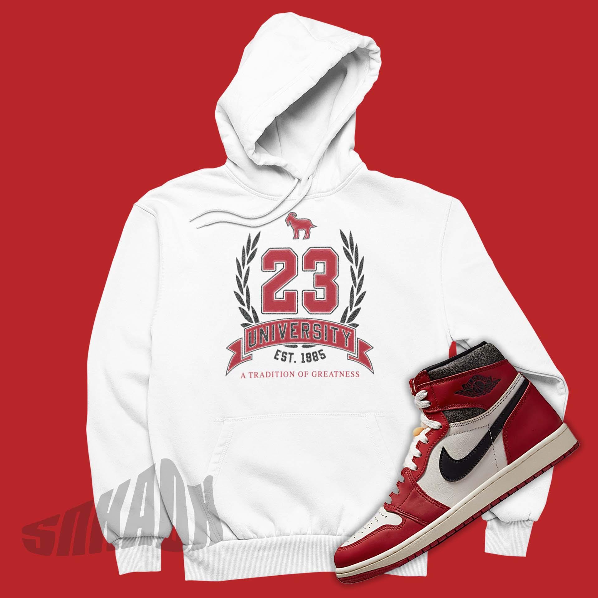 hoodie jordan 1