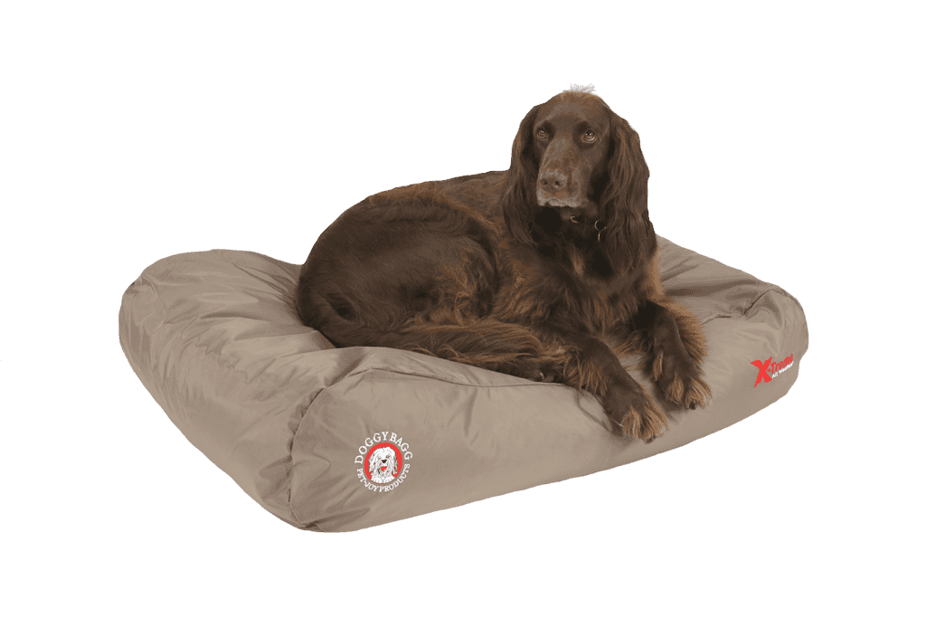 Matelas, tapis et coussins: sites - Page 2 Doggy-bagg-x-treme-dog-bed-fossil-super7_1024x1024