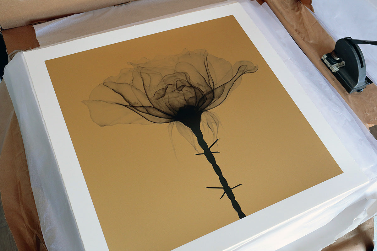 Thorns gold print