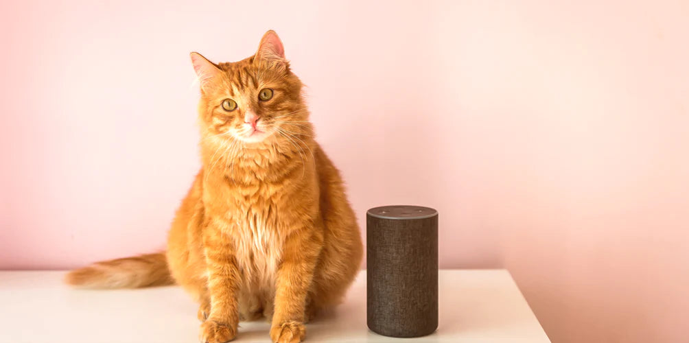 An Uber Pet, Safe in Your Smart Home